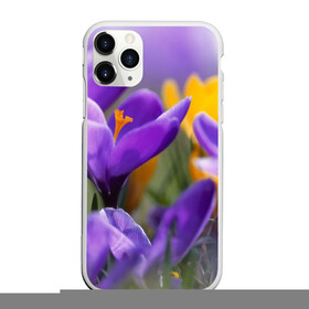 Чехол для iPhone 11 Pro матовый с принтом Фиолетовые цветы в Кировске, Силикон |  | бабушке | девочке | девушке | дочке | желтые цветы | женщине | маме | подруге | природа | розовые цветы | розы | сестре | теще | тюльпаны | цветы