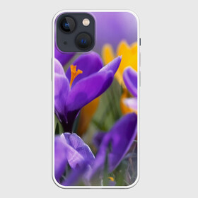 Чехол для iPhone 13 mini с принтом Фиолетовые цветы в Кировске,  |  | бабушке | девочке | девушке | дочке | желтые цветы | женщине | маме | подруге | природа | розовые цветы | розы | сестре | теще | тюльпаны | цветы