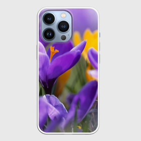 Чехол для iPhone 13 Pro с принтом Фиолетовые цветы в Кировске,  |  | бабушке | девочке | девушке | дочке | желтые цветы | женщине | маме | подруге | природа | розовые цветы | розы | сестре | теще | тюльпаны | цветы