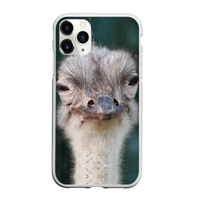 Чехол для iPhone 11 Pro Max матовый с принтом Подозрительный страус в Кировске, Силикон |  | lol | глаза | голова | детям | животные | зеленая | лол | подарок | подмигивает | подозрительно | прикольная | природа | смешная | страус | эмоции | юмор