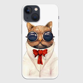 Чехол для iPhone 13 mini с принтом Кот в Кировске,  |  | бабочка | в очках | киса | киска | костюм | котейка | котенок | котэ | котя | кошка | крутой | модный | стиль | ученый