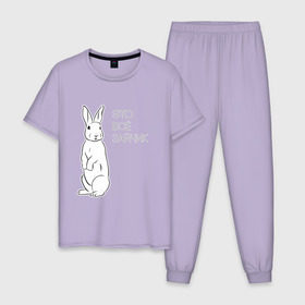 Мужская пижама хлопок с принтом Это все зайчик в Кировске, 100% хлопок | брюки и футболка прямого кроя, без карманов, на брюках мягкая резинка на поясе и по низу штанин
 | 