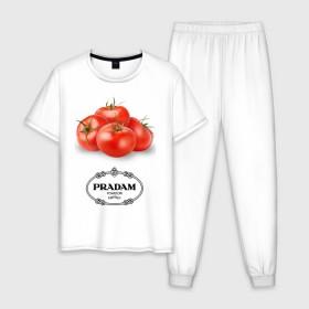 Мужская пижама хлопок с принтом PRADAM в Кировске, 100% хлопок | брюки и футболка прямого кроя, без карманов, на брюках мягкая резинка на поясе и по низу штанин
 | антитренд | прада
