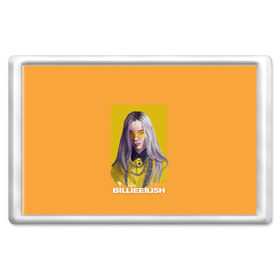 Магнит 45*70 с принтом Billie Eilish в Кировске, Пластик | Размер: 78*52 мм; Размер печати: 70*45 | at | billie | don’t | eilish | electronic | eyes | me | music | ocean | pirate | smile | synthpop | usa | айлиш | билли | музыка | пайрэт | синти поп | сша | электронная | электропоп