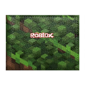 Обложка для студенческого билета с принтом Roblox в Кировске, натуральная кожа | Размер: 11*8 см; Печать на всей внешней стороне | play | roblox | детская | для детей | игра | онлайн | ребенку | роблокс | роболкс | симулятор