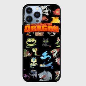 Чехол для iPhone 13 Pro Max с принтом How to Train Your Dragon в Кировске,  |  | Тематика изображения на принте: dragon | how | to train | your | астрид | беззубик | викинги | всадник | дракон | как | ночная | олух | приручить | фурия | фэнтези