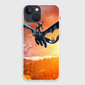 Чехол для iPhone 13 mini с принтом Night Fury в Кировске,  |  | how to train your dragon | night fury | беззубик | дракон | как приручить дракона | ночная фурия