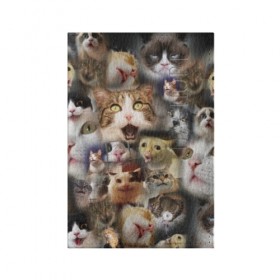 Обложка для паспорта матовая кожа с принтом Те самые коты в Кировске, натуральная матовая кожа | размер 19,3 х 13,7 см; прозрачные пластиковые крепления | Тематика изображения на принте: грустный кот мем | кот | кот мем | коты | кошка | мем | мем про котов | мемы | мемы с котами