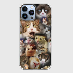 Чехол для iPhone 13 Pro Max с принтом Те самые коты в Кировске,  |  | грустный кот мем | кот | кот мем | коты | кошка | мем | мем про котов | мемы | мемы с котами