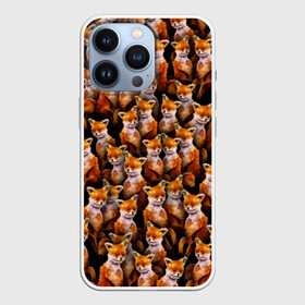Чехол для iPhone 13 Pro с принтом Упоротые лисы в Кировске,  |  | fox | животные | лис | лиса | лисичка | мем | паттрен | рыжий | толпа | упортый | фыр фыр
