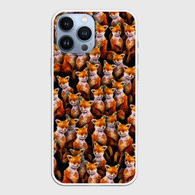 Чехол для iPhone 13 Pro Max с принтом Упоротые лисы в Кировске,  |  | fox | животные | лис | лиса | лисичка | мем | паттрен | рыжий | толпа | упортый | фыр фыр