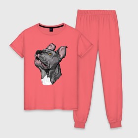 Женская пижама хлопок с принтом Pitbull в Кировске, 100% хлопок | брюки и футболка прямого кроя, без карманов, на брюках мягкая резинка на поясе и по низу штанин | dog | pitbull | питбуль | собака | собаки