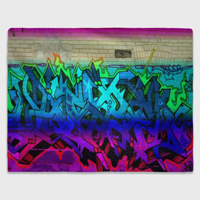 Плед 3D с принтом graffiti neon в Кировске, 100% полиэстер | закругленные углы, все края обработаны. Ткань не мнется и не растягивается | felipe pantone | grafiti | paint | street art | urban | город | граффити | искусство | кирпичи | краски | рисунки | стена | улицы | уличное искусство