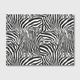 Альбом для рисования с принтом Полосы зебры в Кировске, 100% бумага
 | матовая бумага, плотность 200 мг. | abstraction | african | animal | black and white | camouflage | disguise | skin | stripes | zebra | абстракция | африканская | животное | зебры | камуфляж | маскировка | полосы | черно белый