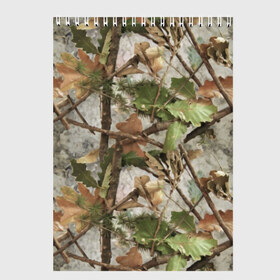 Скетчбук с принтом Камуфляж в Кировске, 100% бумага
 | 48 листов, плотность листов — 100 г/м2, плотность картонной обложки — 250 г/м2. Листы скреплены сверху удобной пружинной спиралью | army | autumn | branches | camouflage | disguise | fishing | forest | green | khaki | leaves | nature | oak | photo | армия | ветки | дуб | зеленый | камуфляж | лес | листья | маскировка | осень | охота | природа | рыбалка | фото | хаки