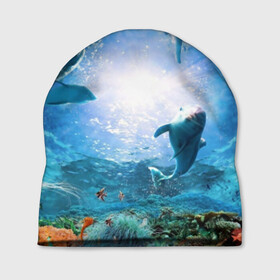 Шапка 3D с принтом Дельфины в Кировске, 100% полиэстер | универсальный размер, печать по всей поверхности изделия | fish | аква | аквариум | вода | кораллы | море | океан | ракушки | рыбки | рыбы
