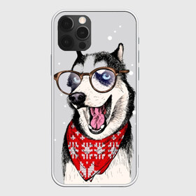 Чехол для iPhone 12 Pro Max с принтом Хаски в Кировске, Силикон |  | animal | blue | breed | dog | drawing | eyes | graphic | husky | jaws | knitted | open | ornament | pattern | shawl | snow | winter | вязаный | глаза | голубые | графический | животное | зима | орнамент | открытая | очки | платок | порода | рису