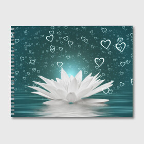 Альбом для рисования с принтом Цветок в Кировске, 100% бумага
 | матовая бумага, плотность 200 мг. | Тематика изображения на принте: белый | красивая | лотос | милая | привлекательная | сердечки | сердце | цветок