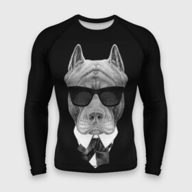 Мужской рашгард 3D с принтом Питбуль в Кировске,  |  | animals | black | black and white | cool | dog | fight | gentleman | head | illustration | pitbull | swag | white | авторитет | белая | бойцовый | галстук бабочка | голова | джентльмен | животные | иллюстрация | костюм | крутой | очки | 