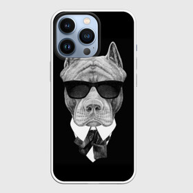 Чехол для iPhone 13 Pro с принтом Питбуль в Кировске,  |  | animals | black | black and white | cool | dog | fight | gentleman | head | illustration | pitbull | swag | white | авторитет | белая | бойцовый | галстук бабочка | голова | джентльмен | животные | иллюстрация | костюм | крутой | очки | 
