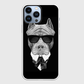 Чехол для iPhone 13 Pro Max с принтом Питбуль в Кировске,  |  | animals | black | black and white | cool | dog | fight | gentleman | head | illustration | pitbull | swag | white | авторитет | белая | бойцовый | галстук бабочка | голова | джентльмен | животные | иллюстрация | костюм | крутой | очки | 