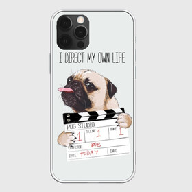 Чехол для iPhone 12 Pro Max с принтом I direct my own life в Кировске, Силикон |  | animal | board | direct | dog | his | i | life | pug | slate | the inscription | грифельная | доска | животное | жизнь | мопс | надпись | направляю | свою | собака | я
