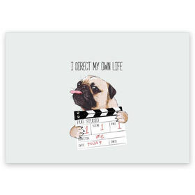 Поздравительная открытка с принтом I direct my own life в Кировске, 100% бумага | плотность бумаги 280 г/м2, матовая, на обратной стороне линовка и место для марки
 | animal | board | direct | dog | his | i | life | pug | slate | the inscription | грифельная | доска | животное | жизнь | мопс | надпись | направляю | свою | собака | я