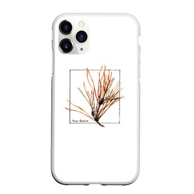 Чехол для iPhone 11 Pro Max матовый с принтом Pinus Sylvestris в Кировске, Силикон |  | абстракция | авторская работа | ботаническая иллюстрация | деревья | иллюстрации | минимализм | сосна | цветы