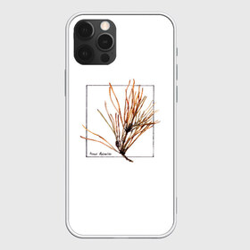 Чехол для iPhone 12 Pro Max с принтом Pinus Sylvestris в Кировске, Силикон |  | абстракция | авторская работа | ботаническая иллюстрация | деревья | иллюстрации | минимализм | сосна | цветы