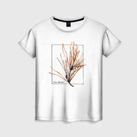 Женская футболка 3D с принтом Pinus Sylvestris в Кировске, 100% полиэфир ( синтетическое хлопкоподобное полотно) | прямой крой, круглый вырез горловины, длина до линии бедер | абстракция | авторская работа | ботаническая иллюстрация | деревья | иллюстрации | минимализм | сосна | цветы