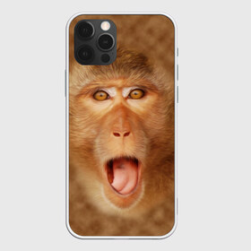 Чехол для iPhone 12 Pro Max с принтом Обезьяна в Кировске, Силикон |  | Тематика изображения на принте: голова | животные | мартышка | мордочка | обезьяна | открытый | прикол | природа | рот | юмор