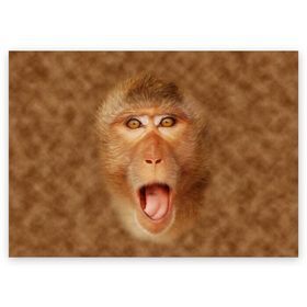 Поздравительная открытка с принтом Обезьяна в Кировске, 100% бумага | плотность бумаги 280 г/м2, матовая, на обратной стороне линовка и место для марки
 | Тематика изображения на принте: голова | животные | мартышка | мордочка | обезьяна | открытый | прикол | природа | рот | юмор
