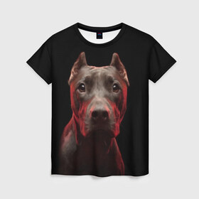 Женская футболка 3D с принтом Стафф в Кировске, 100% полиэфир ( синтетическое хлопкоподобное полотно) | прямой крой, круглый вырез горловины, длина до линии бедер | амстафф | голова | животные | мордочка | природа | собака | стафф | стаффордширский терьер