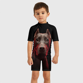 Детский купальный костюм 3D с принтом Стафф в Кировске, Полиэстер 85%, Спандекс 15% | застежка на молнии на спине | Тематика изображения на принте: амстафф | голова | животные | мордочка | природа | собака | стафф | стаффордширский терьер