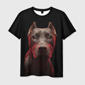 Мужская футболка 3D с принтом Стафф в Кировске, 100% полиэфир | прямой крой, круглый вырез горловины, длина до линии бедер | амстафф | голова | животные | мордочка | природа | собака | стафф | стаффордширский терьер