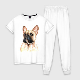 Женская пижама хлопок с принтом Французский бульдог в Кировске, 100% хлопок | брюки и футболка прямого кроя, без карманов, на брюках мягкая резинка на поясе и по низу штанин | bulldog | dog | бульдог | собака | собаки | французский бульдог