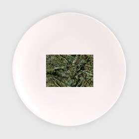 Тарелка с принтом Лесной камуфляж в Кировске, фарфор | диаметр - 210 мм
диаметр для нанесения принта - 120 мм | камуфляж | лесной камуфляж