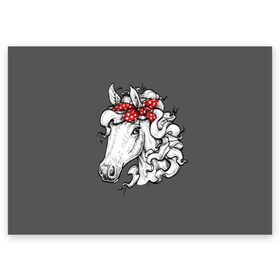 Поздравительная открытка с принтом Белая лошадь в Кировске, 100% бумага | плотность бумаги 280 г/м2, матовая, на обратной стороне линовка и место для марки
 | animal | background | bandana | black | color | cool | fauna | gray | head | headdre | hipster | horse | image | look | mane | red | white | world | бандана | белый | взгляд | голова | головной | грива | животное | животный | имидж | конь | красный | лоша