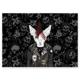 Поздравительная открытка с принтом Кот в косухе в Кировске, 100% бумага | плотность бумаги 280 г/м2, матовая, на обратной стороне линовка и место для марки
 | anarchy | breed | cat | clothes | cool | hairstyle | icon | jacket | kote | mohawk | muzzle | piercing | punk | riveting | rock | skull | sphinx | spikes | tattoo | анархия | значок | ирокез | к | клепки | кот | котик | котэ | круто | куртка | оде