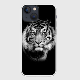 Чехол для iPhone 13 mini с принтом Тигр в Кировске,  |  | animal | beautiful | black | cool | fangs | fauna | mustache | muzzle | nature | photo | predator | striped | tiger | view | white | wild | wool | белый | взгляд | дикий | животное | клыки | красивый | круто | полосатый | природа | тигр | усы | фа