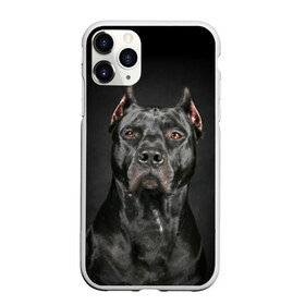 Чехол для iPhone 11 Pro Max матовый с принтом Питбуль в Кировске, Силикон |  | animal | black | breed | bull | combat | dog | ears | eyes | image | muzzle | nose | pit bull | portrait | боевой | бугай | глаза | животное | изображение | нос | пес | питбуль | порода | портрет | псина | собака | уши | черный