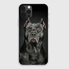 Чехол для iPhone 12 Pro Max с принтом Питбуль в Кировске, Силикон |  | animal | black | breed | bull | combat | dog | ears | eyes | image | muzzle | nose | pit bull | portrait | боевой | бугай | глаза | животное | изображение | нос | пес | питбуль | порода | портрет | псина | собака | уши | черный