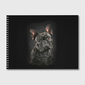 Альбом для рисования с принтом Французский бульдог в Кировске, 100% бумага
 | матовая бумага, плотность 200 мг. | Тематика изображения на принте: animal | background | beast | black | breed | bulldog | cool | cute | dog | ears | french | jaw | look | muzzle | portrait | wool | бульдог | взгляд | животное | зверь | милый | пёс | порода | портрет | прикольно | псина | собака | уши | фон | фра