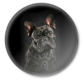 Значок с принтом Французский бульдог в Кировске,  металл | круглая форма, металлическая застежка в виде булавки | animal | background | beast | black | breed | bulldog | cool | cute | dog | ears | french | jaw | look | muzzle | portrait | wool | бульдог | взгляд | животное | зверь | милый | пёс | порода | портрет | прикольно | псина | собака | уши | фон | фра