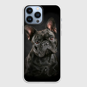 Чехол для iPhone 13 Pro Max с принтом Французский бульдог в Кировске,  |  | Тематика изображения на принте: animal | background | beast | black | breed | bulldog | cool | cute | dog | ears | french | jaw | look | muzzle | portrait | wool | бульдог | взгляд | животное | зверь | милый | пёс | порода | портрет | прикольно | псина | собака | уши | фон | фра