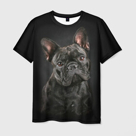 Мужская футболка 3D с принтом Французский бульдог в Кировске, 100% полиэфир | прямой крой, круглый вырез горловины, длина до линии бедер | animal | background | beast | black | breed | bulldog | cool | cute | dog | ears | french | jaw | look | muzzle | portrait | wool | бульдог | взгляд | животное | зверь | милый | пёс | порода | портрет | прикольно | псина | собака | уши | фон | фра