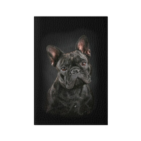 Обложка для паспорта матовая кожа с принтом Французский бульдог в Кировске, натуральная матовая кожа | размер 19,3 х 13,7 см; прозрачные пластиковые крепления | animal | background | beast | black | breed | bulldog | cool | cute | dog | ears | french | jaw | look | muzzle | portrait | wool | бульдог | взгляд | животное | зверь | милый | пёс | порода | портрет | прикольно | псина | собака | уши | фон | фра