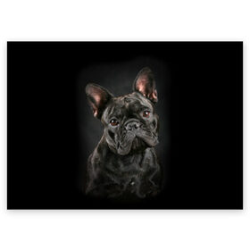 Поздравительная открытка с принтом Французский бульдог в Кировске, 100% бумага | плотность бумаги 280 г/м2, матовая, на обратной стороне линовка и место для марки
 | animal | background | beast | black | breed | bulldog | cool | cute | dog | ears | french | jaw | look | muzzle | portrait | wool | бульдог | взгляд | животное | зверь | милый | пёс | порода | портрет | прикольно | псина | собака | уши | фон | фра