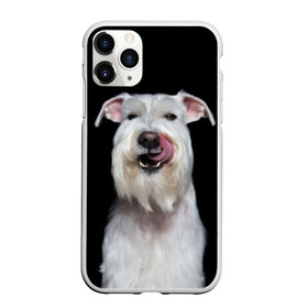 Чехол для iPhone 11 Pro матовый с принтом Белый шнауцер в Кировске, Силикон |  | animal | background | beast | black | breed | cool | cute | dog | ears | fangs | jaw | look | muzzle | portrait | tongue | white | wool | белый | взгляд | животное | зверь | клыки | милый | пёс | порода | портрет | прикольно | псина | собака | уши