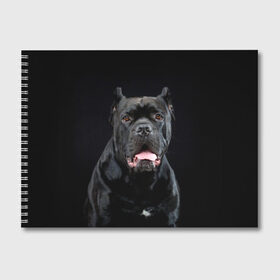 Альбом для рисования с принтом Черный кан - корсо в Кировске, 100% бумага
 | матовая бумага, плотность 200 мг. | animal | background | beast | black | breed | can   corso | cool | cute | dog | ears | fangs | jaw | look | muzzle | portrait | tongue | wool | взгляд | животное | зверь | кан   корсо | клыки | милый | пёс | порода | портрет | прикольно | псина | 